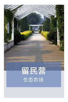 留民營生態農莊微信小程序二維碼