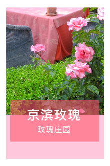 京濱玫瑰莊園景區微信小程序二維碼