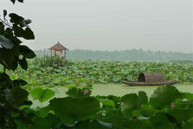 鄉村旅游規劃3大經典案例3.jpg