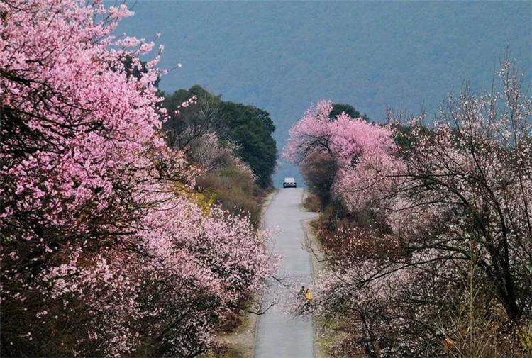 鄉村旅游規劃3大經典案例2.jpg