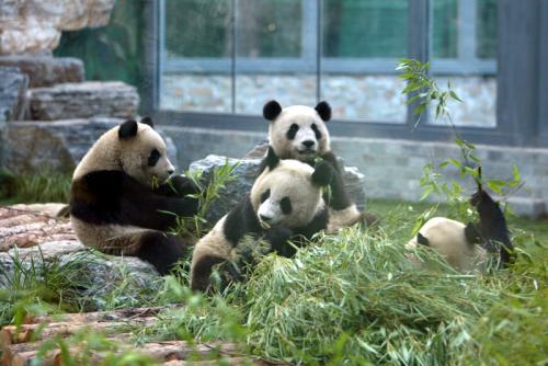 景區(qū)實(shí)名制預(yù)約系統(tǒng)趨勢(shì)，現(xiàn)北京市11家市屬公園中已有7家實(shí)施網(wǎng)絡(luò)實(shí)名制預(yù)約購票 (2).jpg