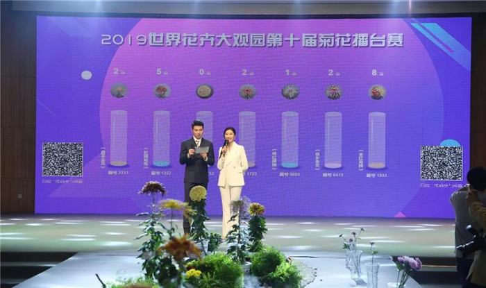 熱烈祝賀小泥人協(xié)助世界花卉大觀園策劃的第十屆菊花擂臺賽網(wǎng)絡評選“菊魁”活動，完美落幕 ！.jpg