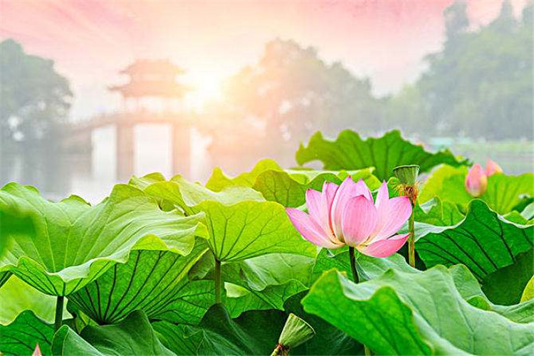 智慧景區票務系統對景區有什么幫助？能否給景區帶來質的飛躍2.jpg