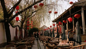 模仿的鄉村民宿旅游，錯過的歷史機遇.png