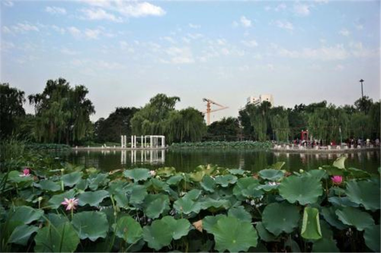 2020年北京豐臺花園智能電子導(dǎo)覽、語音講解、手繪地圖上線了2.jpg