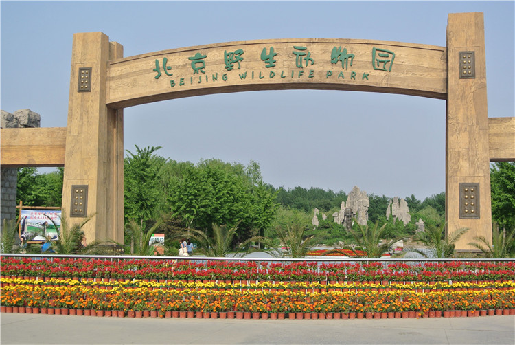 2020年北京野生動物園智能電子導(dǎo)覽、語音講解、手繪地圖上線了2.jpg