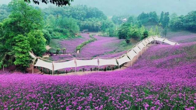 四川天府花溪谷手繪地圖、語音講解、電子導(dǎo)覽等智能導(dǎo)覽系統(tǒng)上線啦.jpeg