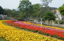 2021年廣東三水森林公園電子導覽、語音講解、手繪地圖等智能導覽系統(tǒng)功能上線了.jpg