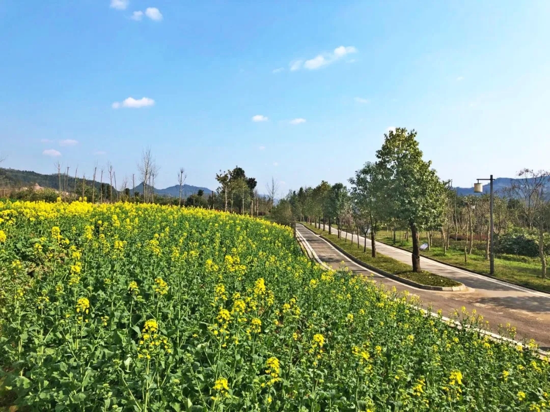 2021年四川巴中市山水化湖景區(qū)手繪地圖、語(yǔ)音講解、電子導(dǎo)覽等智能導(dǎo)覽系統(tǒng)上線了.jpg