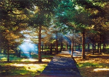陜西通天河國家森林公園4A級景區手繪地圖、語音講解、電子導覽等智能導覽系統上線.jpg