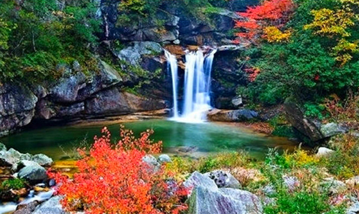 陜西紅河谷森林公園4A級景區手繪地圖、語音講解、電子導覽等智能導覽系統上線.jpg