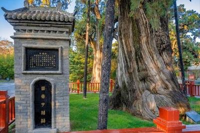 陜西延安黃帝陵景區5A景區手繪地圖、語音講解、電子導覽等智能導覽系統上線.jpg