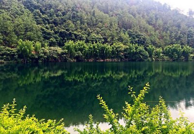山西龍泉國家森林公園手繪地圖、語音講解、電子導覽等智能導覽系統上線.jpg