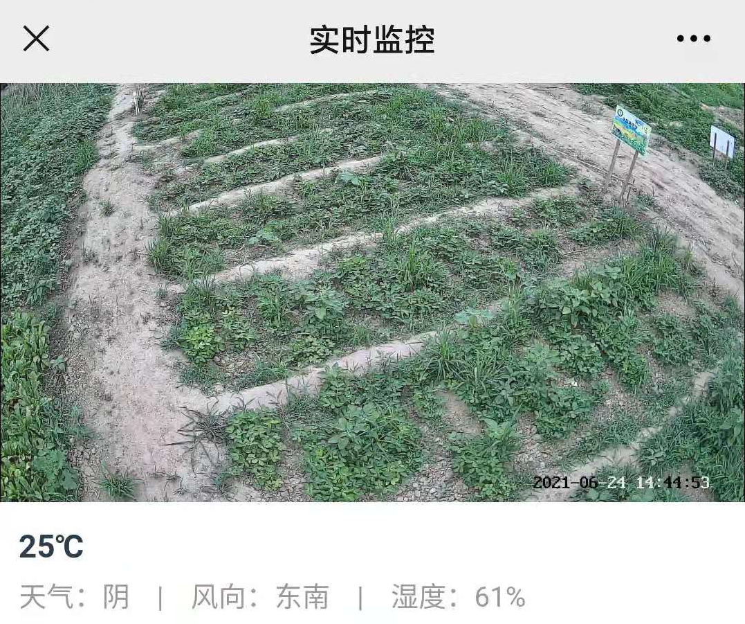 北京第五季龍水鳳港與小泥人合作實時監(jiān)控功能，開啟支付寶小程序新時代！.png
