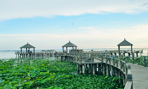 2021年內(nèi)蒙古哈素海旅游景區(qū)手繪地圖、語(yǔ)音講解、電子導(dǎo)覽等智能導(dǎo)覽系統(tǒng)上線.jpg
