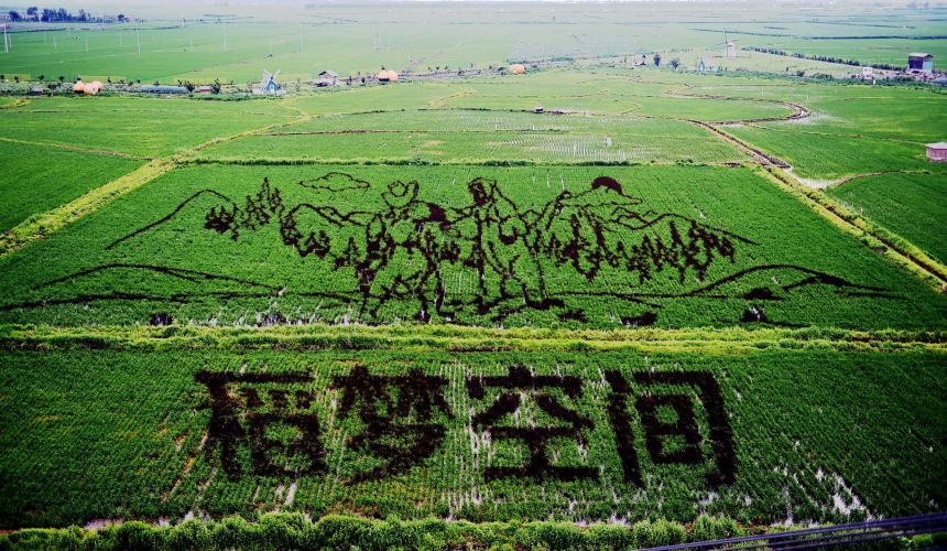 稻夢(mèng)空間智能導(dǎo)覽.jpg