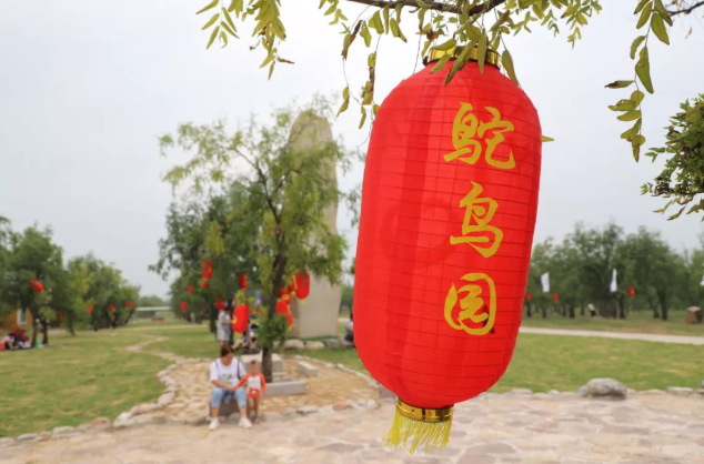 2021鄭州金鷺鴕鳥園智能語音講解系統上線，聽著語音看科教基地.png