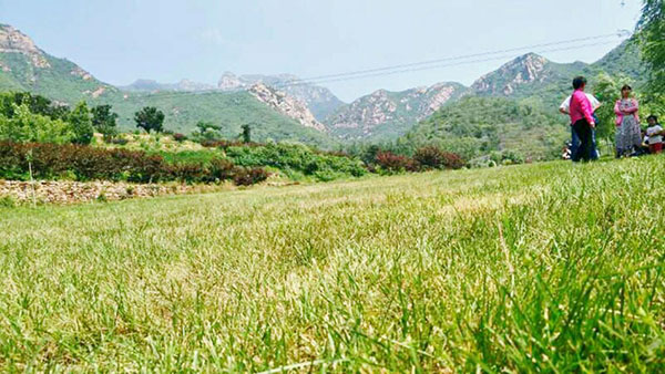 常河常馨谷生態休閑樂園智能導覽帶你游玩景區八大項目，還有采摘體驗.jpg