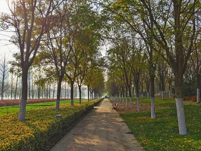 2021年正定新區(qū)中心湖公園智能電子導(dǎo)覽推薦你來賞秋景啦.jpg