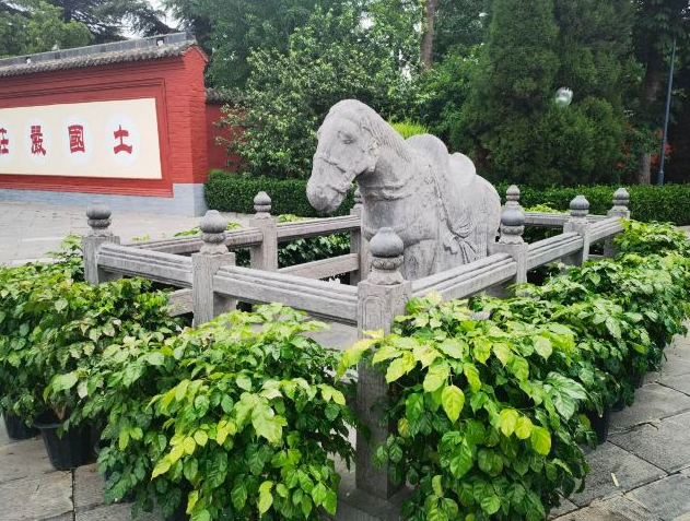 洛陽(yáng)白馬寺4A景區(qū)智慧導(dǎo)覽帶你了解中國(guó)佛教的釋源祖庭.png