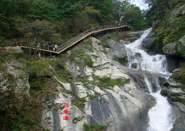 2021年河南洛陽木札嶺原始生態旅游區全渠道5大售票系統.png