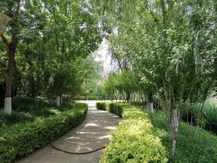 鹿泉石柏公園語音講解憲法知識，寓教于樂，語音講解優勢盡顯.jpg