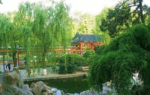 2021年石家莊薇波公園語音講解功能與你一起了解當地生活文化.jpg