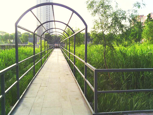 景區電子導覽系統為石津灌渠文化公園增添新氣色，秋游首選.jpg