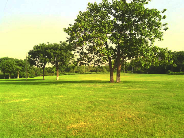 景區電子導覽系統為石津灌渠文化公園增添新氣色，秋游首選.jpg