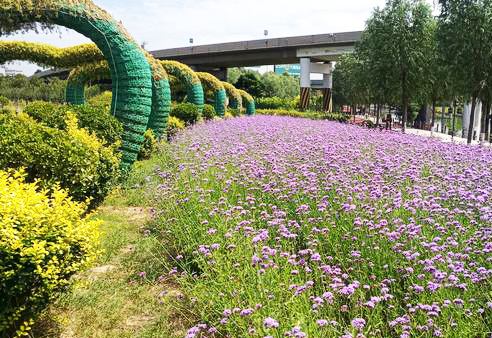 景區智慧導覽系統入駐鹿泉秀水公園了，秋游觀賞，一起體驗.jpeg