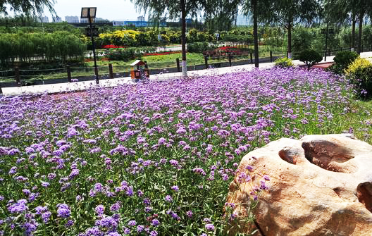 景區智慧導覽系統入駐鹿泉秀水公園了，秋游觀賞，一起體驗.jpeg