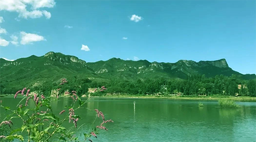 石家莊網紅打卡地——豌豆農莊智慧導覽系統上線了，優選線路推薦游玩.png