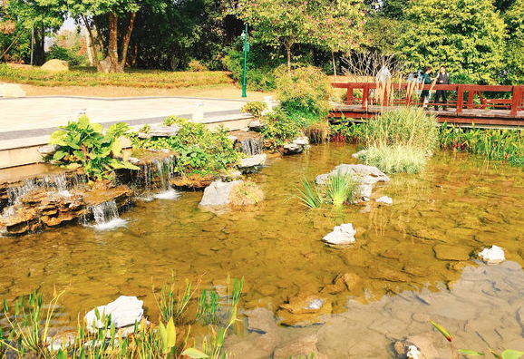 廣州海珠國家濕地公園手繪地圖導(dǎo)覽系統(tǒng)功能.png