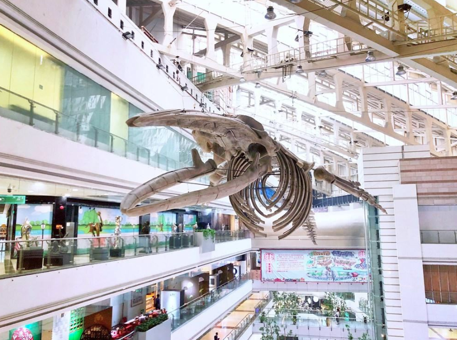 正佳自然科學(xué)博物館4A旅游景區(qū)智能電子導(dǎo)覽.png