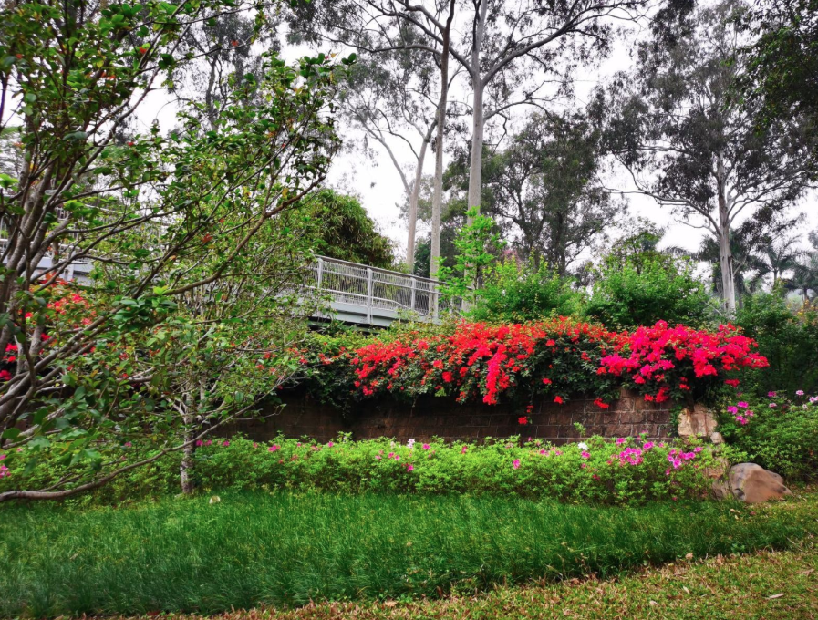 廣州5A景區(qū)麓湖公園智能導(dǎo)覽功能.png