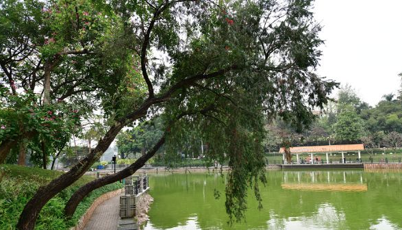 廣州5A景區(qū)麓湖公園智能導(dǎo)覽功能.png