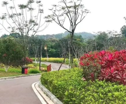 萬(wàn)田生態(tài)公園智能語(yǔ)音導(dǎo)覽功能.png