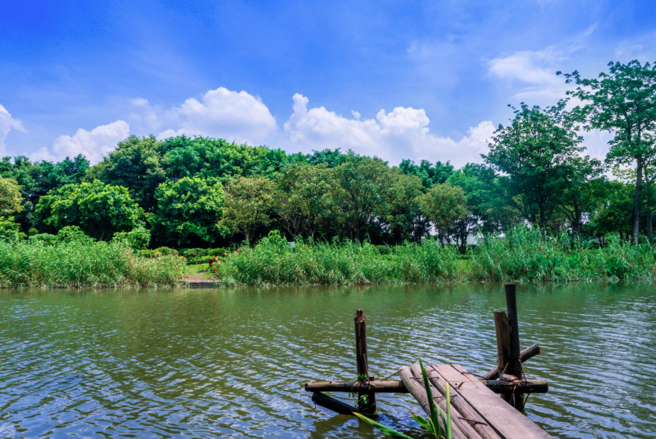 大沙河濕地公園智能地圖導(dǎo)覽功能.png