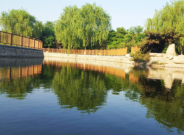 滄州獅城公園智慧導覽制作公司.jpg