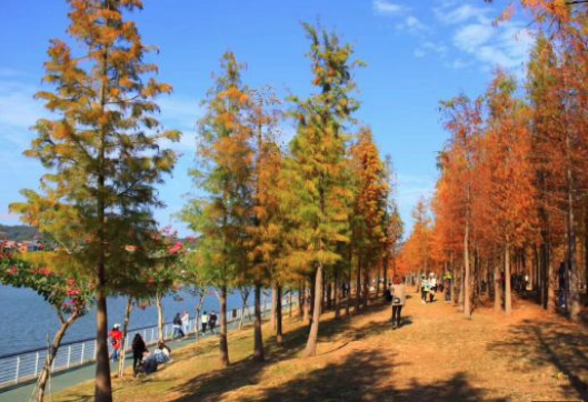 2021年廣州大觀濕地公園景區(qū)售檢票系統(tǒng)軟件.png