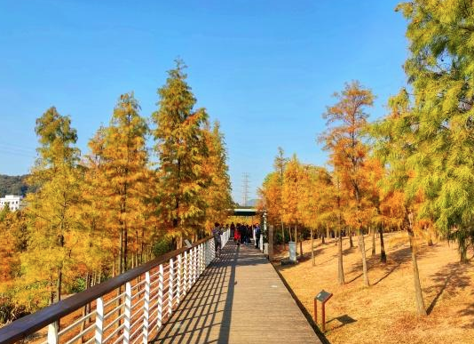大觀濕地公園景區(qū)售檢票系統(tǒng)價(jià)格.png