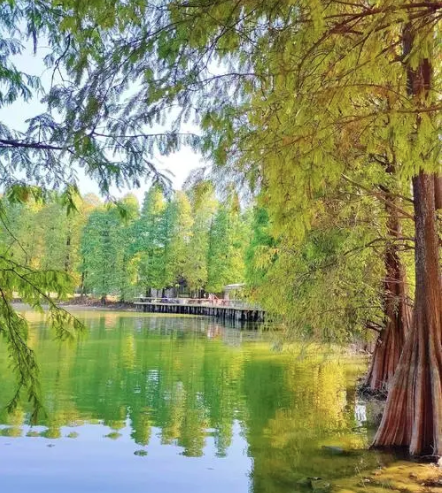大觀濕地公園景區(qū)售檢票系統(tǒng)功能.png
