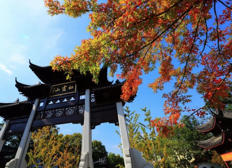 智慧電子導(dǎo)覽帶你游覽南京棲霞山楓葉美景.png