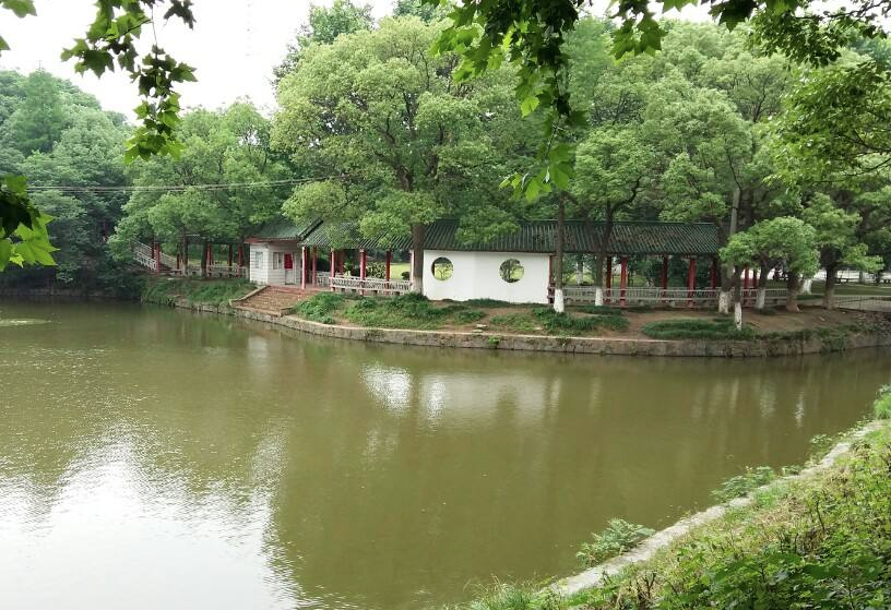 南京太子山公園手機智慧導覽上線了，完全實現把“導游裝進手機里”.png