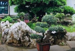 靜思園景區(qū)智能電子導(dǎo)覽價格.png