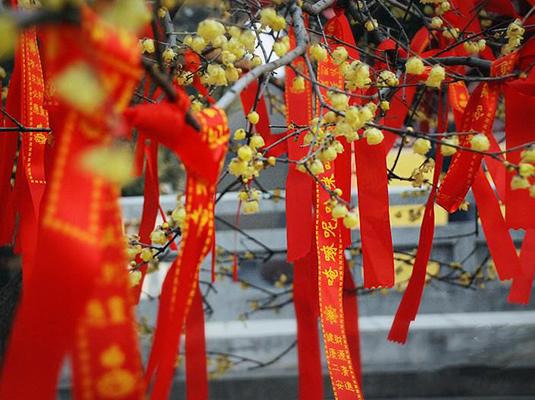 博山王母池鴻蒙生態(tài)應(yīng)用服務(wù)商.jpg