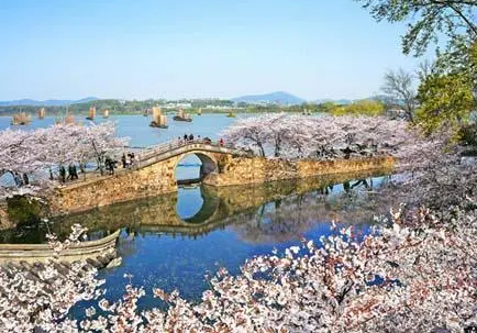 太湖黿頭渚風(fēng)景區(qū)手繪地圖導(dǎo)覽上線，結(jié)合現(xiàn)場(chǎng)實(shí)景還原景區(qū)地圖3.png