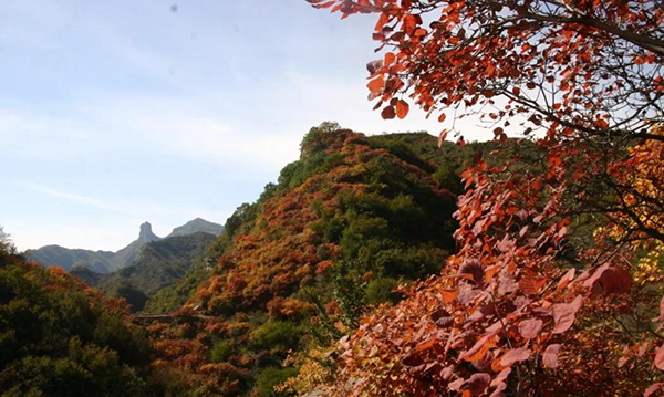 前南峪生態(tài)景區(qū)智能手繪導(dǎo)覽公司.jpg