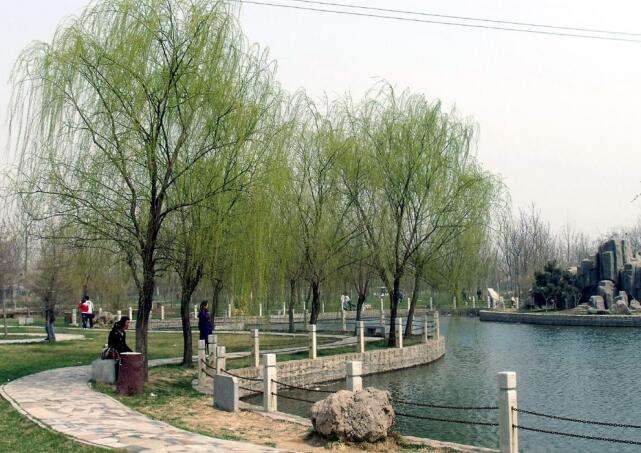 邢臺森林公園智慧導覽系統介紹.jpg