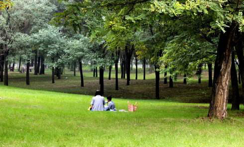 邢臺森林公園智慧導覽系統制作公司.jpg